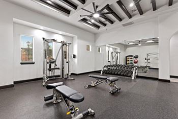 A spacious gym with a variety of equipment including a squat rack, bench, and dumbbells.